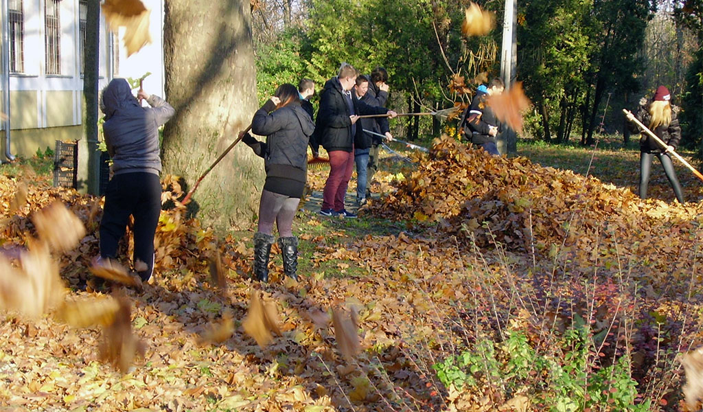 161121 komposzt 01