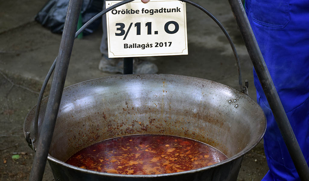 170515 szerenad 04
