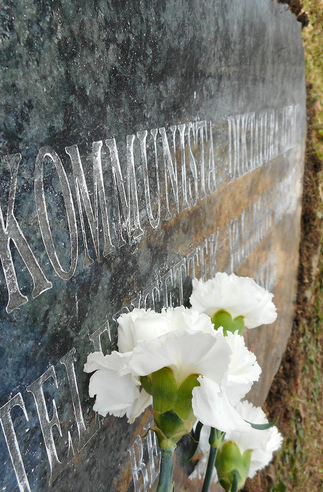 20210225 komm 03