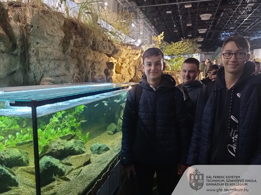20211019 vadaszkiallitas 02