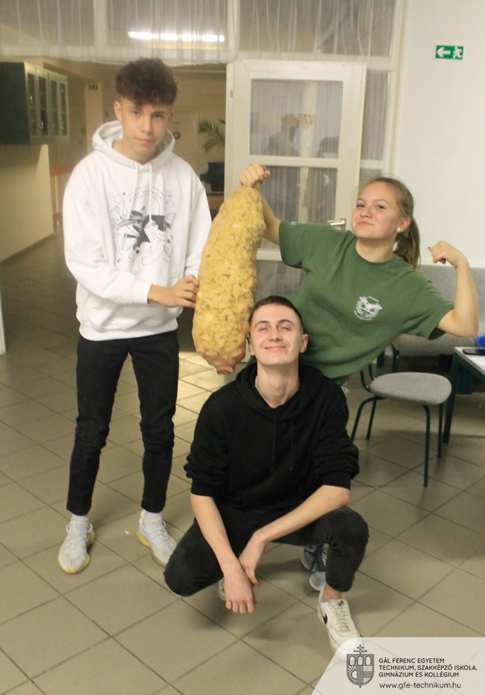 20221123 kollmarton 005