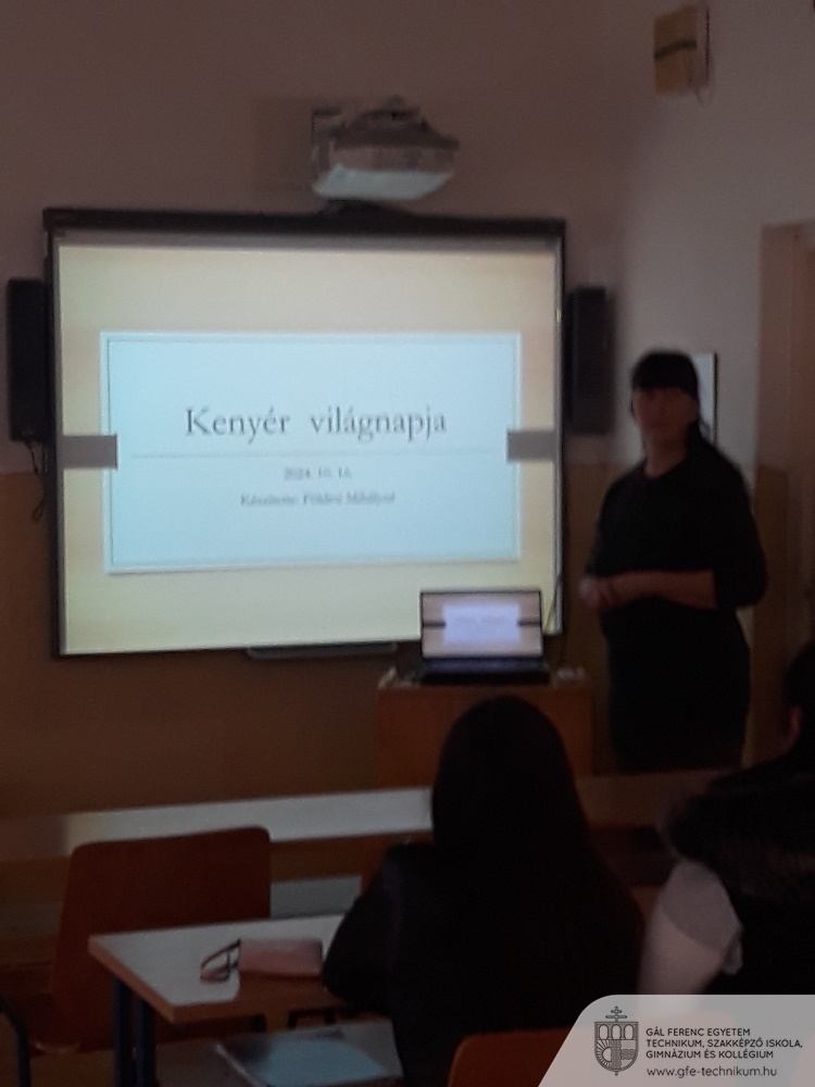 20241016 0816551 Mihályné Földesi