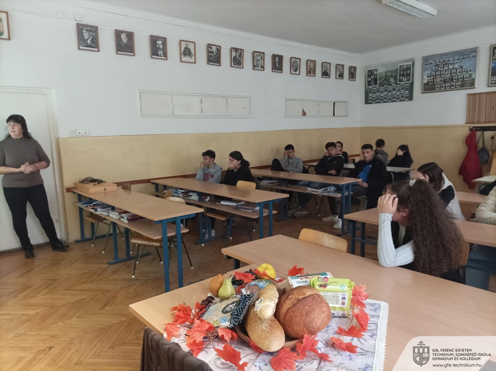 4228fa5e b4ba 459d 8c30 0dde5971ad1b Mihályné Földesi